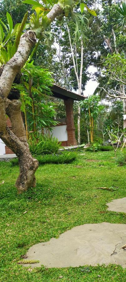 Tangkas House Appartement Tampaksiring Buitenkant foto